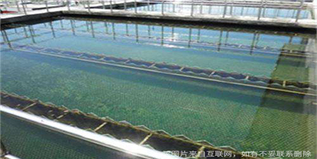 关于污水处理沉淀池的那些事