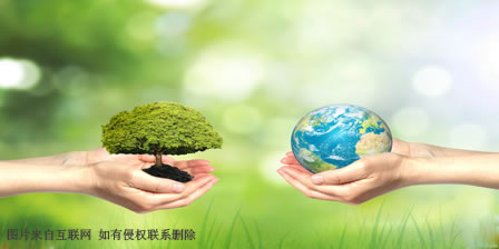 污泥处理工艺流程