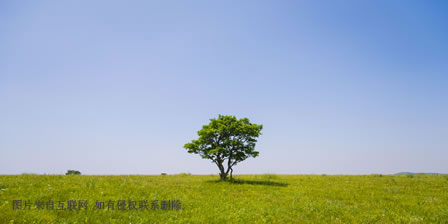 污泥柱塞泵简介
