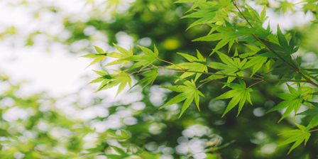 未来污泥处理的主流技术到底有多深！